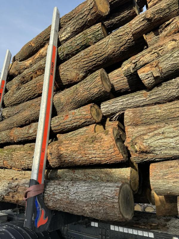 48652988627390895396089494079934897340803272n